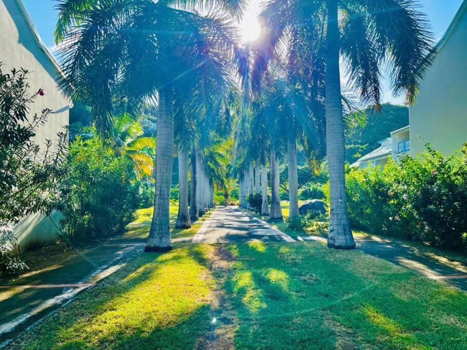 Le Palmier Bleu, Cocon Tropical, Plage & Piscine Anse-Marcel Extérieur photo
